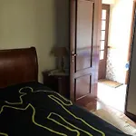 Patio Mos Летний дом