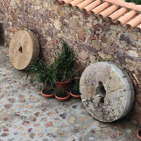 Patio Mos