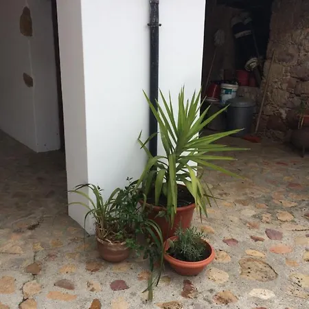 Country house Patio Mos