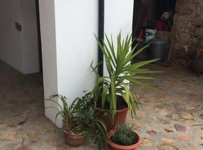 カントリーハウス Patio Mos